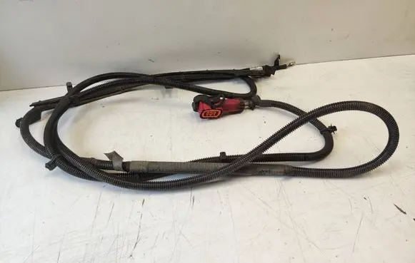 Other wiring loom