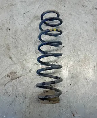 Rear coil spring