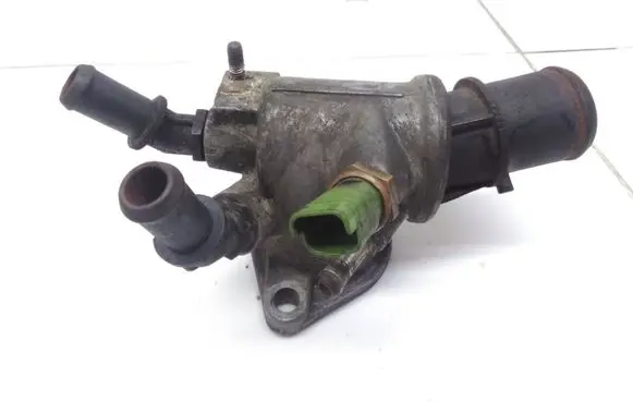 Thermostat/thermostat housing