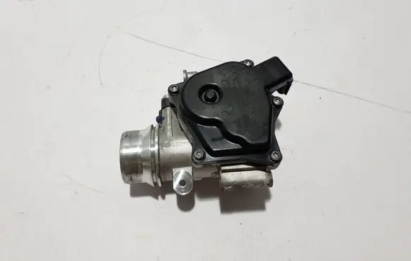 Renault Kangoo III Throttle valve 161A01874R