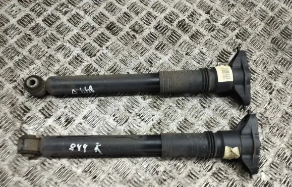 Citroen C4 III e-C4 Rear shock absorber/damper