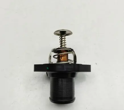 Citroen C4 I Thermostat 1338A0
