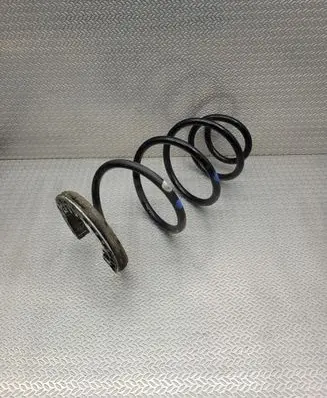 Front coil spring