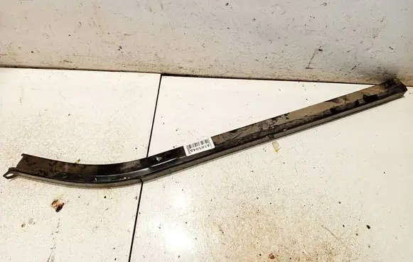 Renault Kangoo I Sliding door trim 