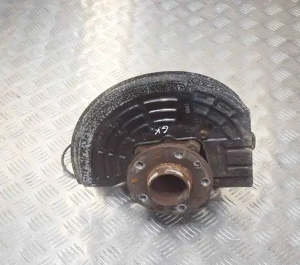 Fiat 500X Rear wheel hub 52017671