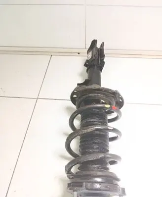 Hyundai Kona I Front shock absorber with coil spring 54650DD000