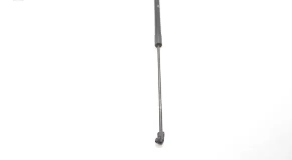 Ford C-MAX II Tailgate strut AM51U406A10AD