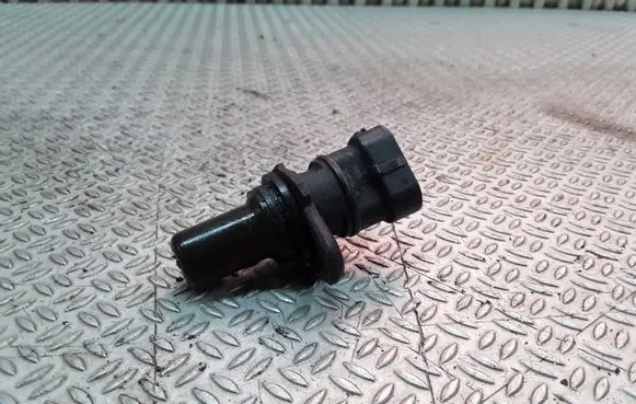 Hyundai Santa Fe Camshaft position sensor 393503E120