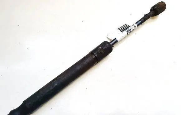 Tailgate/trunk strut/damper