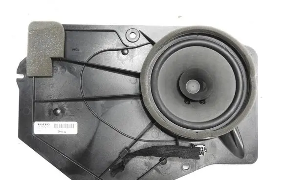Rear door speaker
