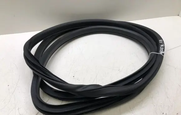 Nissan Juke I F15 Front door rubber seal