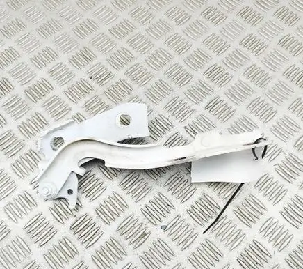 Alfa Romeo Giulia Engine bonnet/hood hinges 50545216