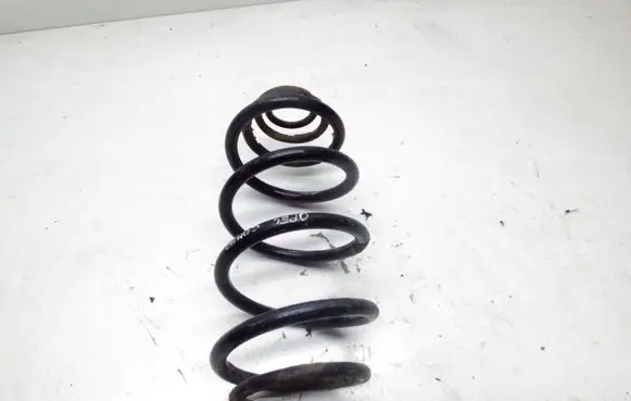 Front coil spring