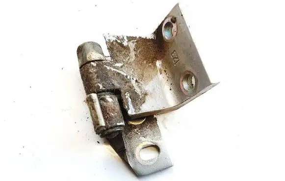 Rear door lower hinge