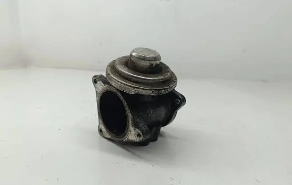 EGR valve