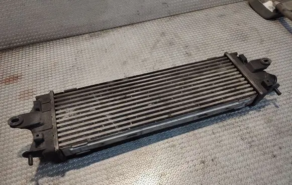 Renault Trafic II (X83) Intercooler radiator 8200411160