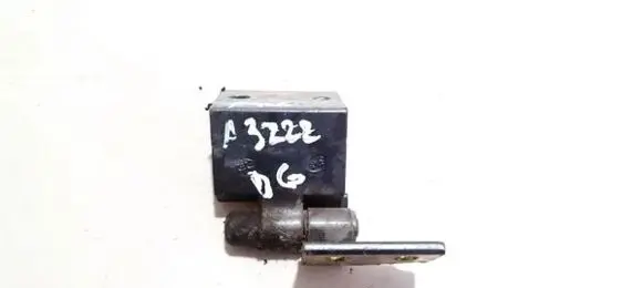 Peugeot 406 Rear door lower hinge