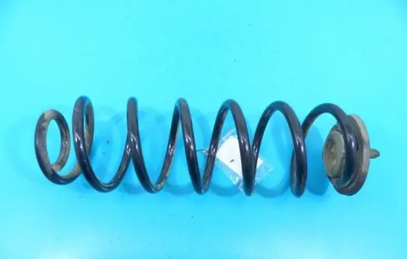 Rear coil spring