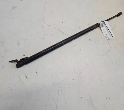 Chrysler Pacifica Tailgate/trunk strut/damper