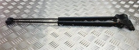 Ford Focus C-MAX Tailgate strut 3M51R41620AC 3M51R41621AC
