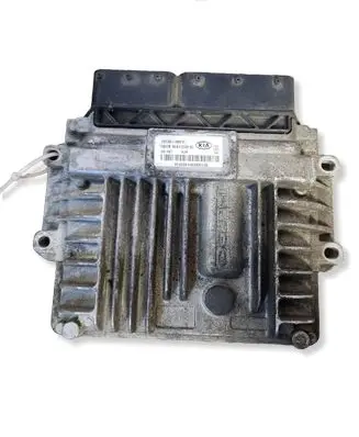 KIA Carens II Engine control unit/module 391044X910 R0412C001G 412C001G63390128