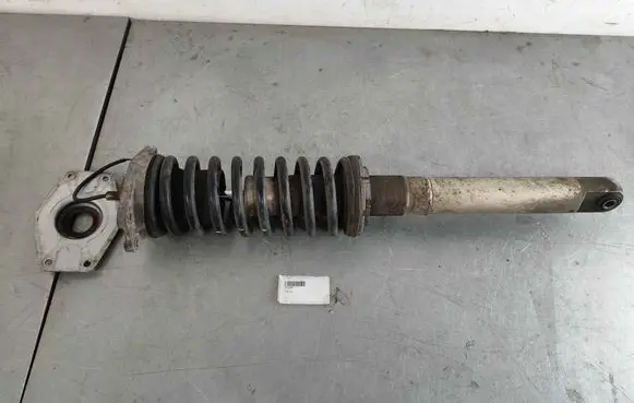Maserati Quattroporte Front shock absorber with coil spring 202959