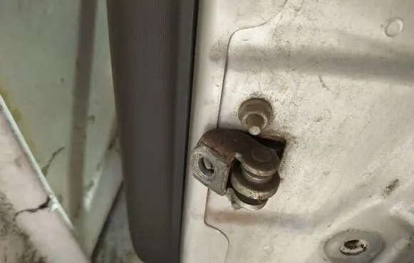 Rear door check strap stopper