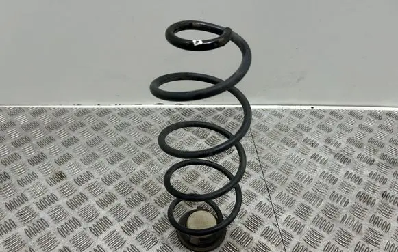 Rear coil spring