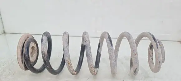Rear coil spring