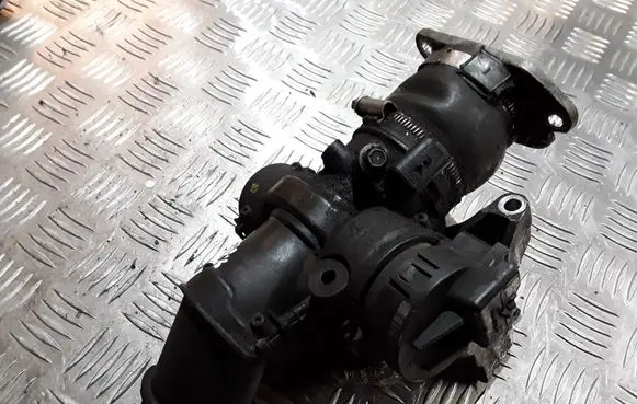 Citroen Xsara Picasso Electric throttle body valve 9660030580