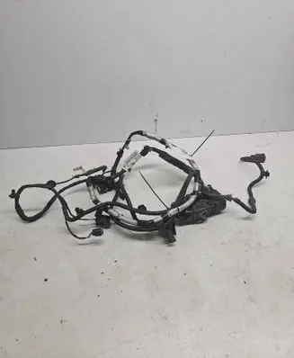 Other wiring loom