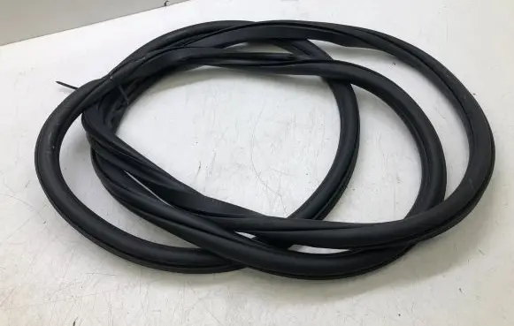 Volkswagen Tiguan Allspace Rear door rubber seal (on body) 