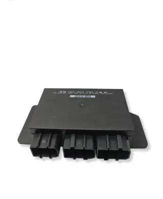 Volkswagen PASSAT B5.5 Comfort/convenience module 1C0959799A 5DK00821300