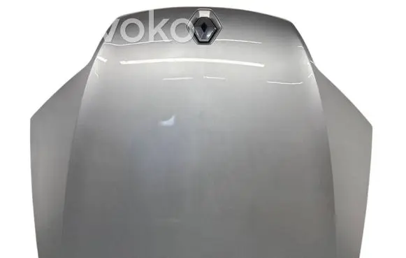 Renault Laguna III Engine bonnet/hood 
