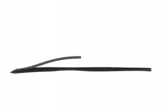 Fiat Punto (199) Rubber seal front coupe door 46730716