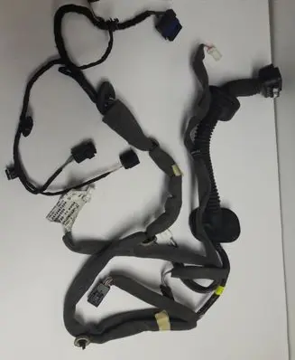 Renault Scenic III - Grand scenic III Front door wiring loom 241248733R 289820001R