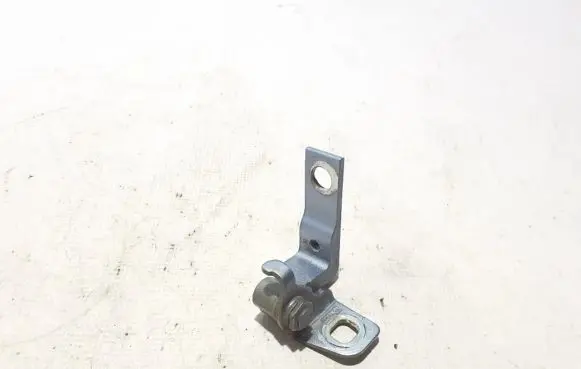 Rear door lower hinge