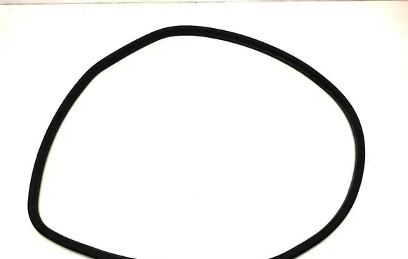 Rear door rubber seal (on body)
