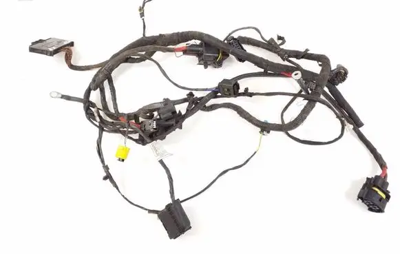 Mini Cooper Countryman F60 Other wiring loom 9498000