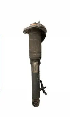 BMW X5 E70 Rear shock absorber/damper 6781925 14941510