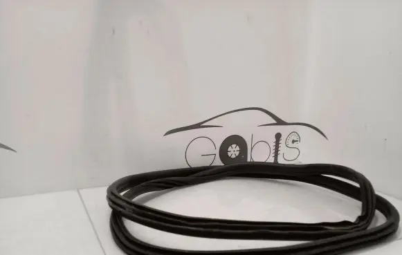 BMW 3 G20 G21 Front door rubber seal 7407373