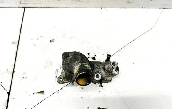 Ford Focus Engine coolant pipe/hose