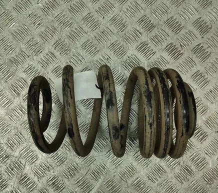 Renault Trafic III (X82) Rear coil spring 550202870R