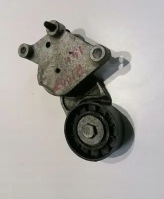 Peugeot 1007 Generator/alternator belt tensioner