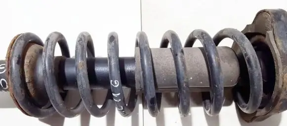 Rear coil spring