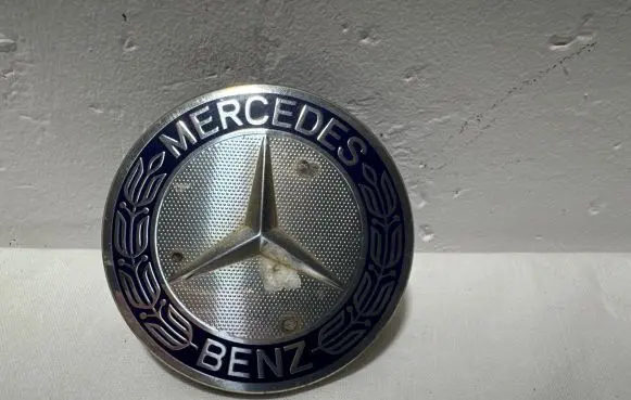 Mercedes-Benz E W213 Original wheel cap A1714000025 H3252