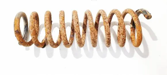 Rear coil spring