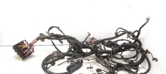 Renault Latitude (L70) Engine installation wiring loom 240110170R