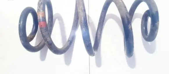 Nissan Qashqai Rear coil spring