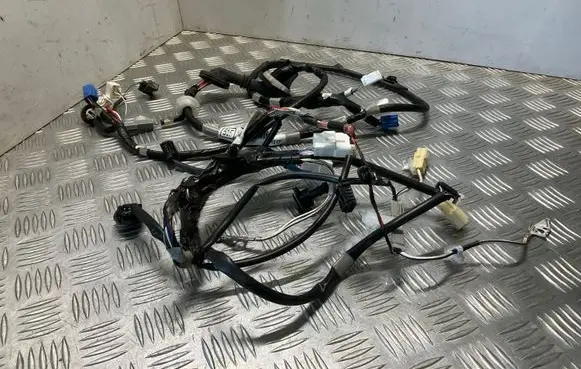 Toyota Avensis T270 Tailgate/trunk wiring harness 8218405150